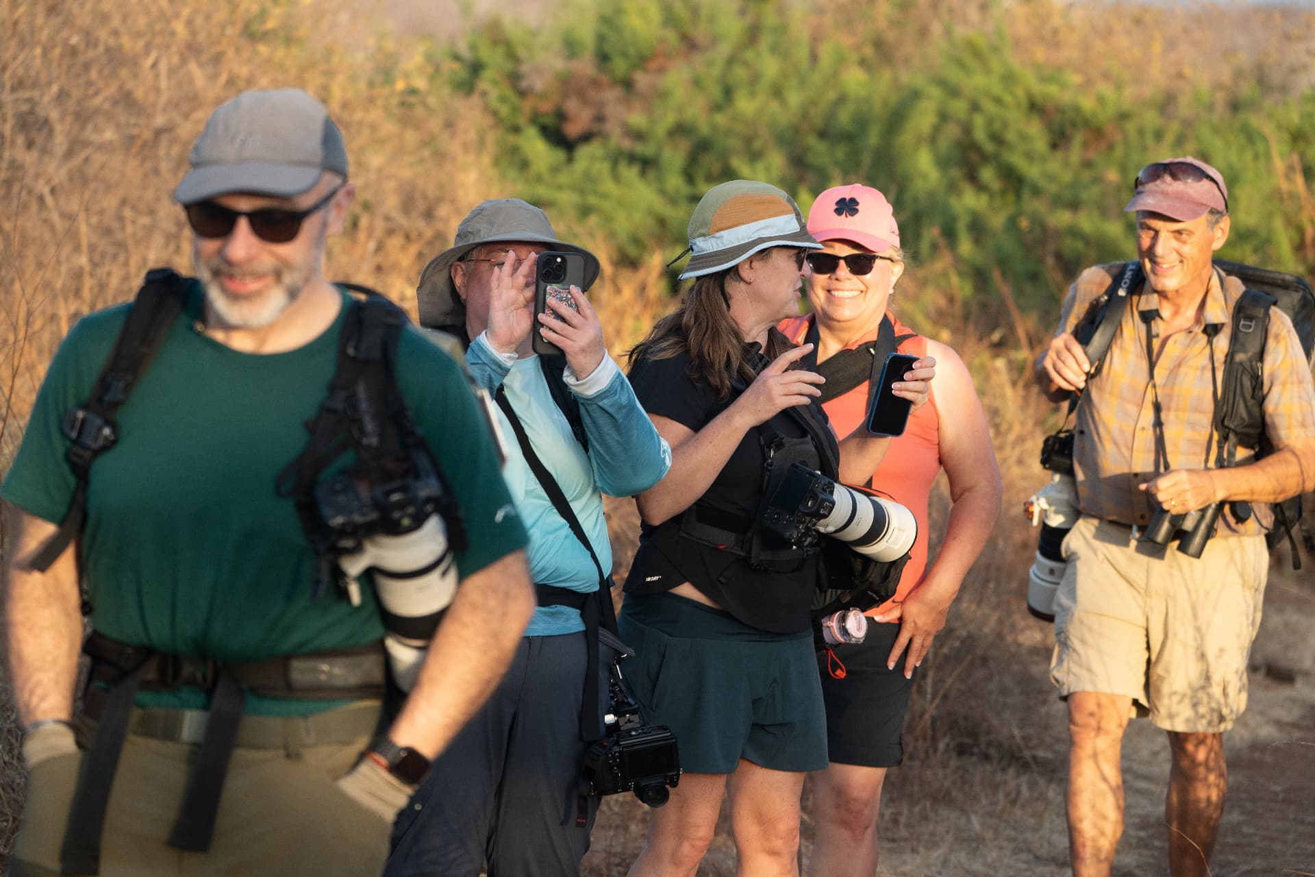 Guests photographing in the field in warm evening light
