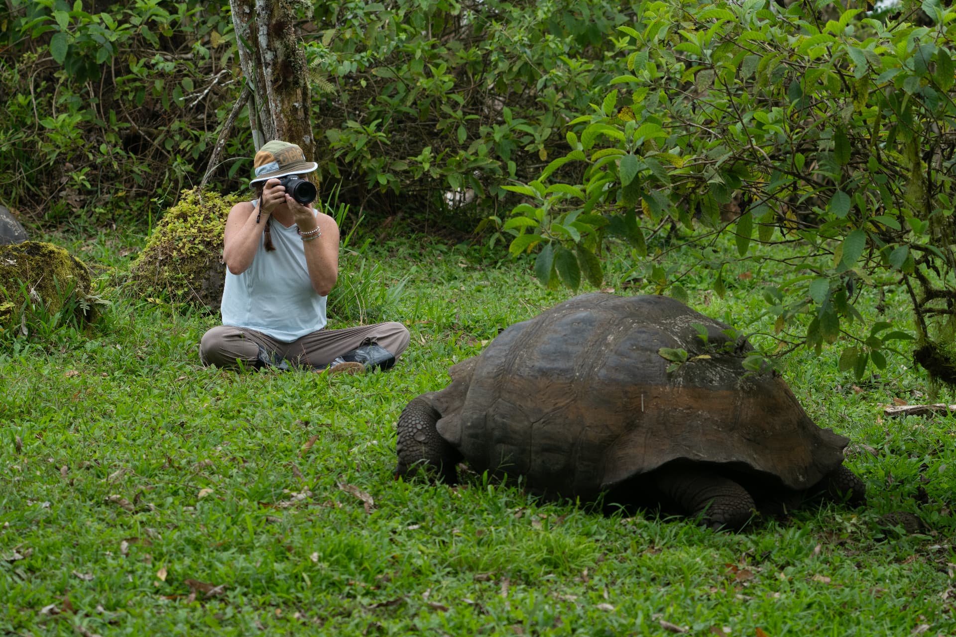 Guest photographing a giant tortoise in the highlands
