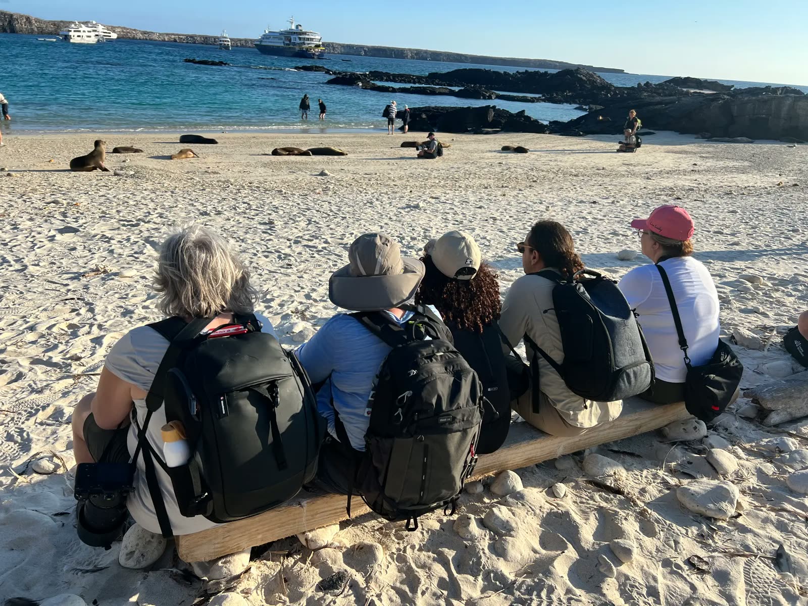 Guests sitting on a beach among sea lions with the yacht offshore