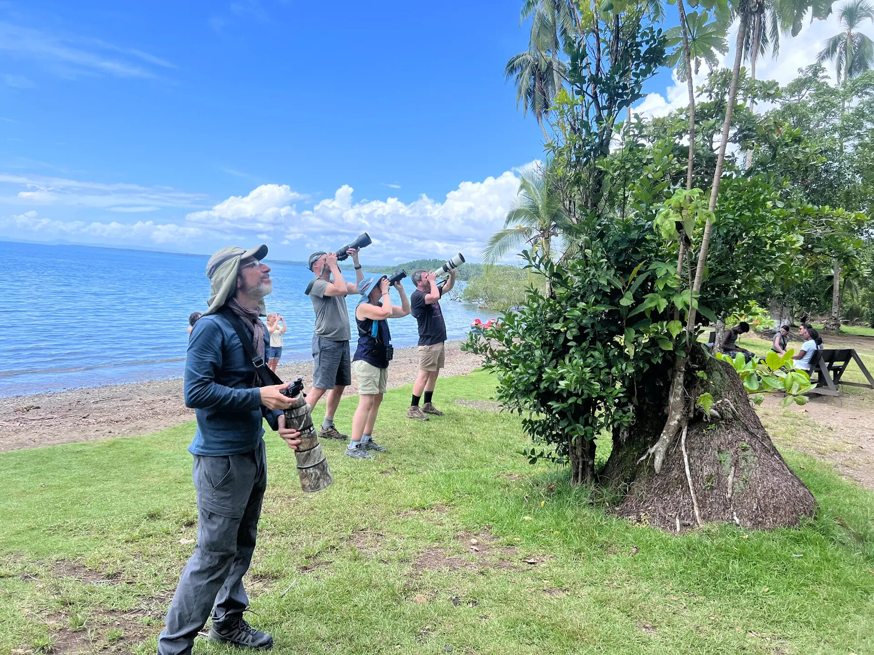 Guests photographing wildlife in a tree beside the Golfo Dulce