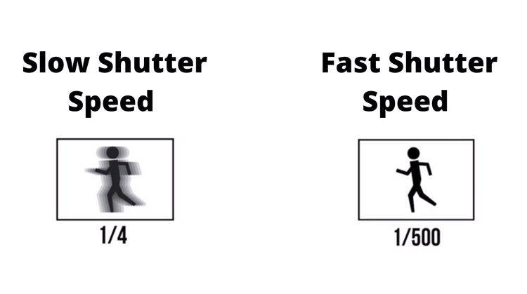 Shutter speed for wildlife photography