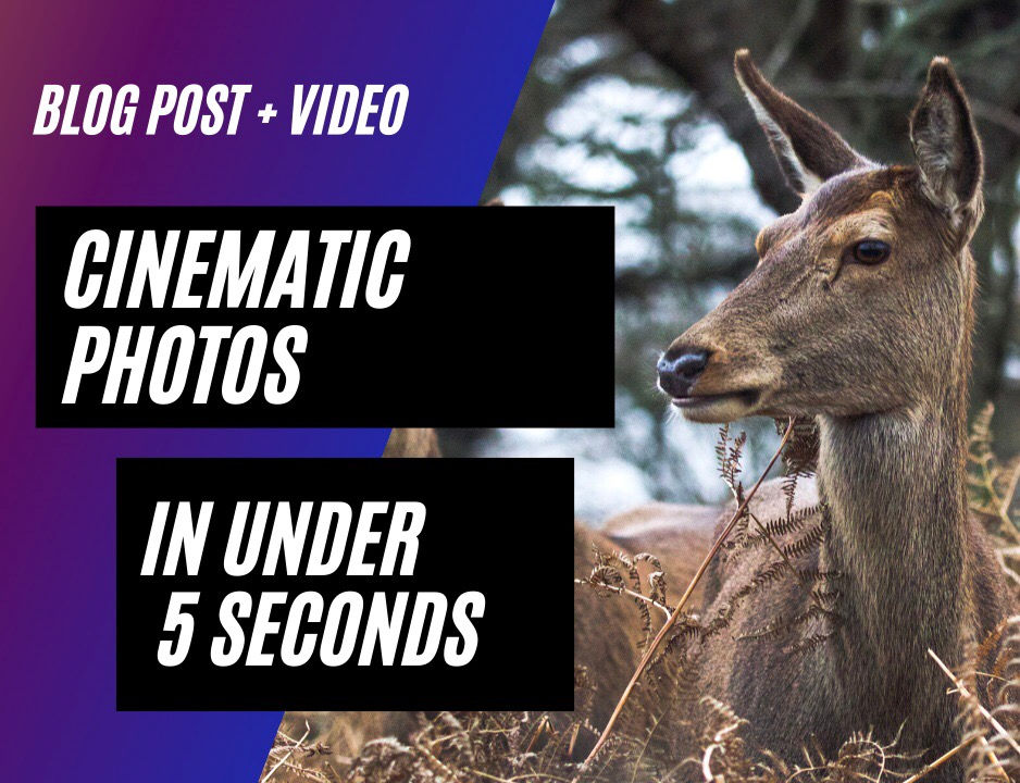 How to Create Cinematic Photos in Lightroom in Under 5 Seconds