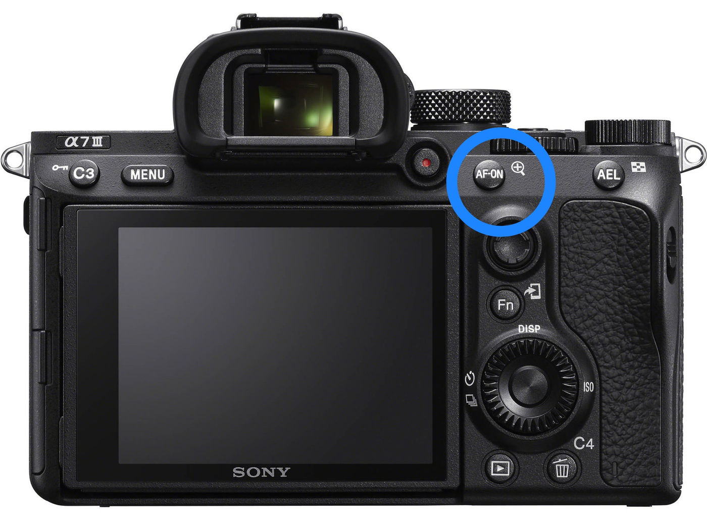 Back Button Focus for Wildlife Photography: Complete Guide
